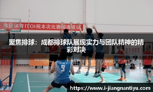 聚焦排球：成都排球队展现实力与团队精神的精彩对决