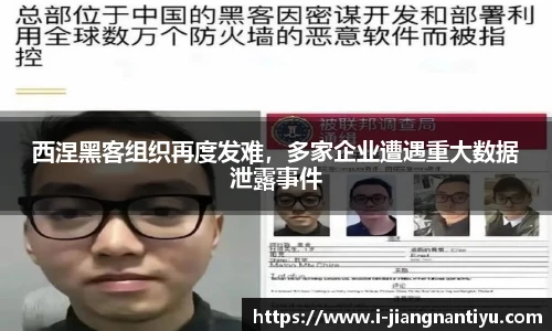 西涅黑客组织再度发难，多家企业遭遇重大数据泄露事件